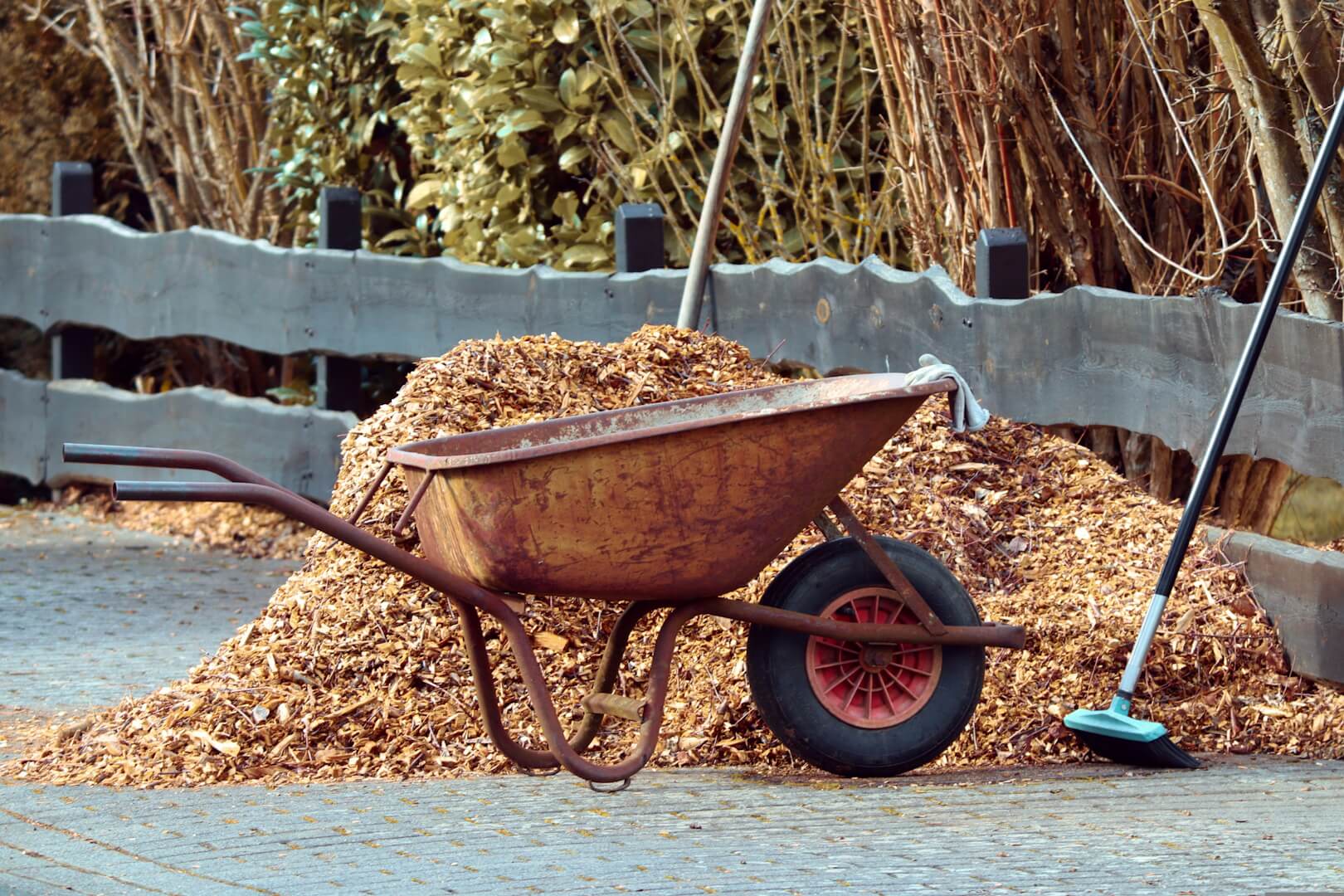 Mittels Gartenwerkzeugen uwurde ein ordentlicher Haufen Laub zusammengefegt: eine Schubkarre und Gartengeräte stehen representativ daneben.
